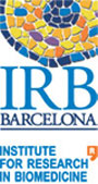 logo IRB