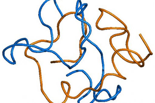 Estructura globular que adopten els agregats inicials de la proteïna beta amiloide (Imatge: A. Arcella, IRB Barcelona)