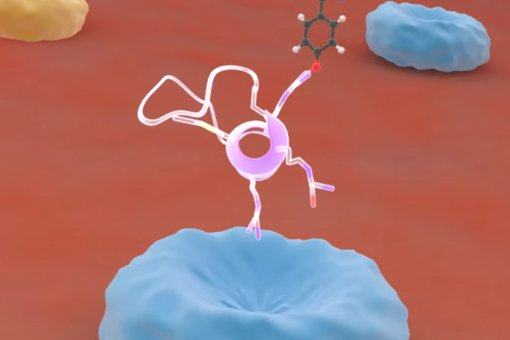 Els pèptids llançadora són molècules que tenen la capacitat de transportar fàrmacs a través de la barrera hematoencefàlica i per tant tractar malalties que afecten el sistema nerviós central