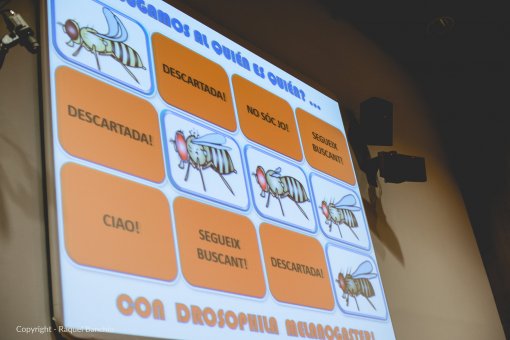 Taller “Drosophila Melanogaster, un pequeño superhéroe en la lucha contra el cáncer”