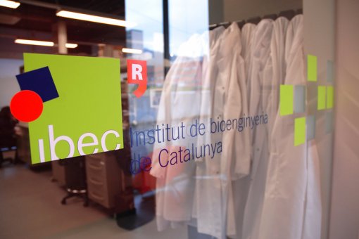Institut de Bioenginyeria de Catalunya (IBEC). Imatge: IBEC. 