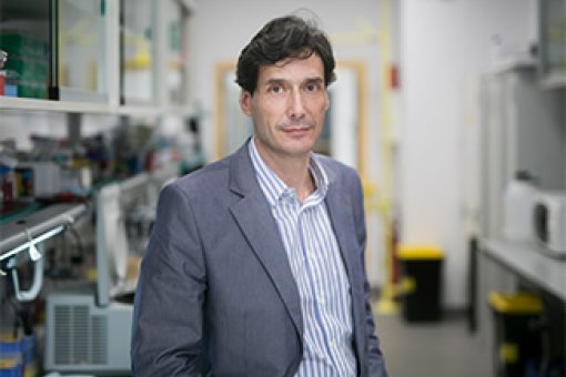 Manuel Serrano, líder del laboratorio de Plasticidad Celular y Enfermedad