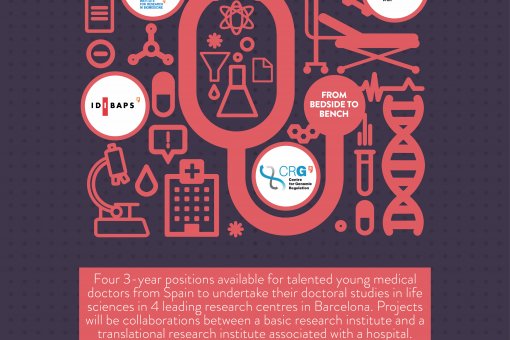 Poster del Programa "PhD for Medical Doctors"