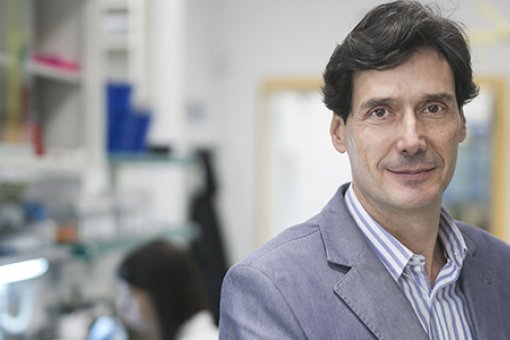 Manuel Serrano lidera el laboratori de Plasticitat Cel·lular i Malaltia