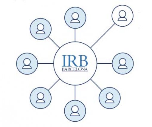 Do You Want To Study Or Work At IRB Barcelona? Find Out More